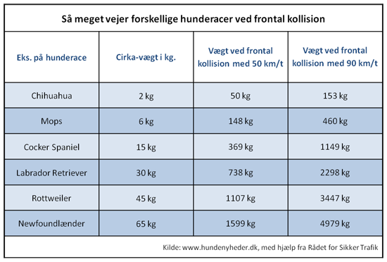 en_hunds_vaegt_ved_kollision_2.png