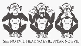 MonkeyBusiness.jpg