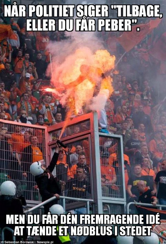 ZomboMeme 28022019132713.jpg