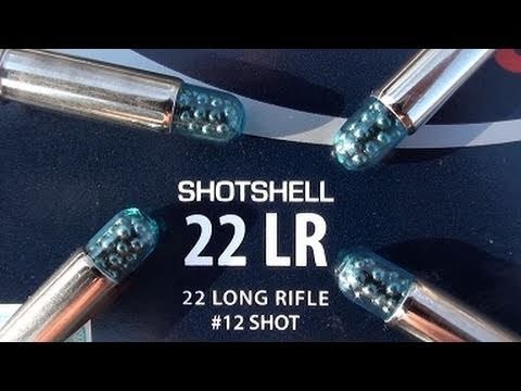 22 lr pel.jpg