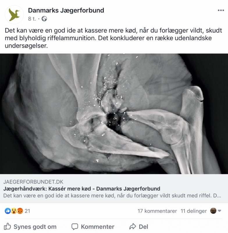 F129FE23-71BC-4607-9B5B-DA5868B7A92D.jpeg